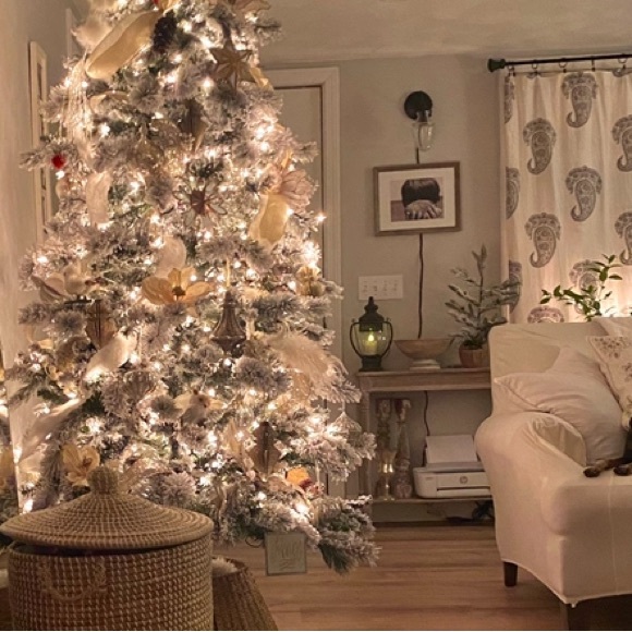 Pottery Barn Rayna Paisley Drapes - Picture 2 of 4